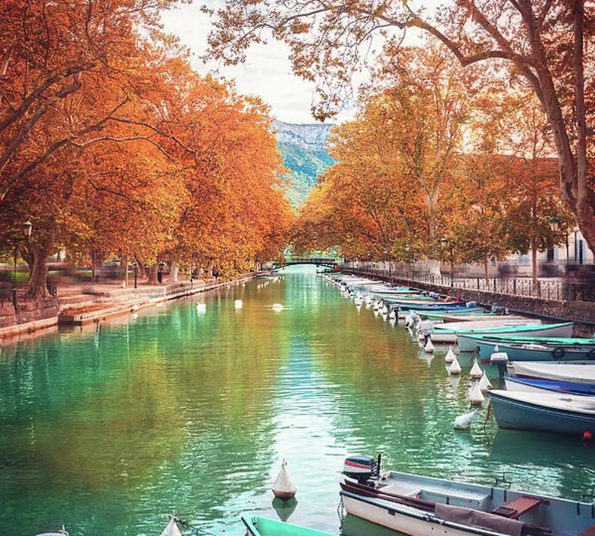 Rayan 4 Etoiles - Proche Lac & Vieille Ville, Garage Prive, Secteur Recherche Annecy 0*,